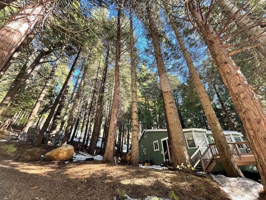 Cedar Oasis - Home Base To Big Trees Arnold Dış mekan fotoğraf