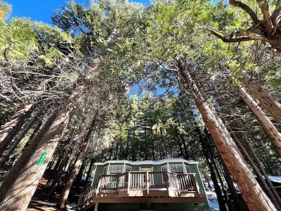 Cedar Oasis - Home Base To Big Trees Arnold Dış mekan fotoğraf